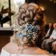 Bruidskapsel- Bruidsmake-up Leusden